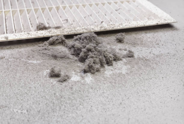 Best Emergency Air Duct Cleaning  in Kentwood, MI